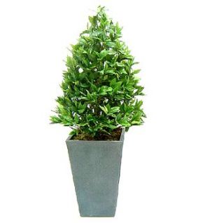 artificial bay cone topiary tree by artificial landscapes