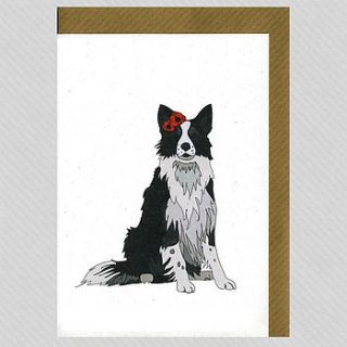 illustrated border collie blank card by illustrated cards