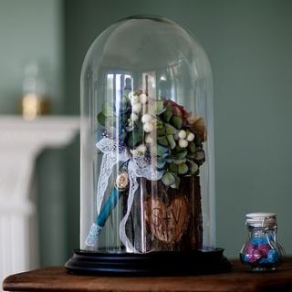 glass bell jar by shrinking violet