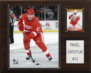 NHL Pavel Datsyuk Detroit Red Wings Player Plaque  Sports Fan Decorative Plaques  Sports & Outdoors