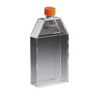 Corning 430639 Polystyrene 10mL Rectangular Canted Neck Cell Culture Flask with Orange HDPE Vent Cap (Case of 200) Science Lab Cell Culture Flasks