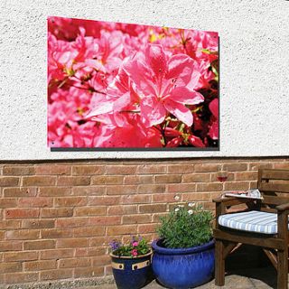 personalised garden photo panel by the bright blue pig