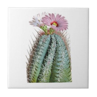 Purple Pink Green Flowering Cactus Plant Ceramic Tiles