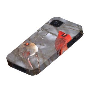 Cardinals in snow storm 2 vibe iPhone 4 covers