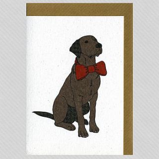 illustrated chocolate labrador blank card by illustrated cards