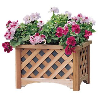Arboria Windsor Rectangle Planter Box