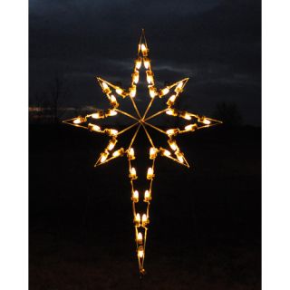 Holiday Lighting Specialists Star of Bethlehem Light