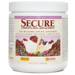 Andrew Lessman Secure Complete Meal Replacement   10 Servings