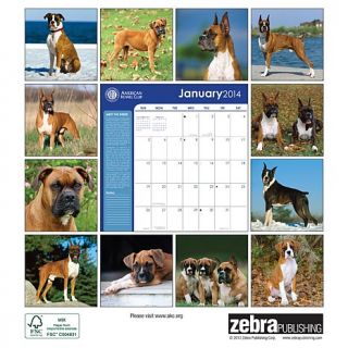 2014 Boxers American Kennel Club wall calendar