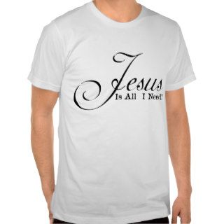 Jesus is all I Need T Shirt