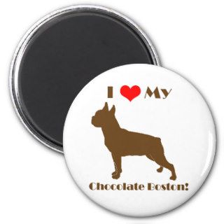 Chocolate Boston Terrier Magnet