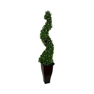 Artificial 56" Lighted Boxwood Spiral Topiary