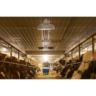 Canarm Ceiling/Wall Barn Light with Glass Bulb Shield — 14in. Dia., 120 Volt, Model# BL14CWS-O  Hanging   Fixture Lights