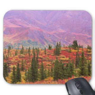 Fall color in Denali National Park Mouse Pads