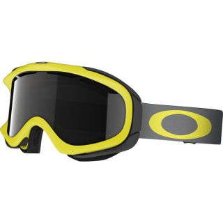 Oakley Ambush Goggle   Goggles