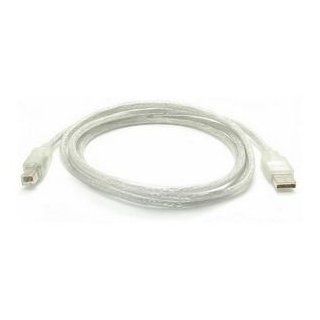 Startech 6' Clear Usb Cable A b (usbfab6t)   Computers & Accessories