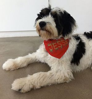 personalised embroidered dog kerchief by ilovespoon