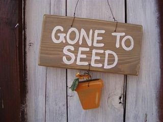 gone to seed sign by giddy kipper