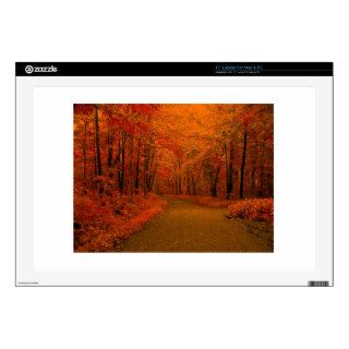 Fall Pathway 17" Laptop Decal