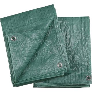 Ironton 2-Pack of Green Poly Tarps — 10ft. x 12ft.  Blue   Green Tarps