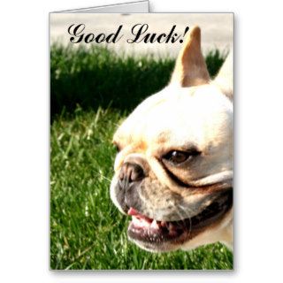 Good Luck French Bulldog greeting card