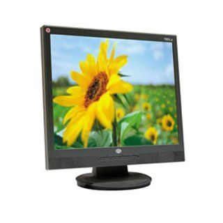 CTL 192LX 19" LCD Monitor Computers & Accessories