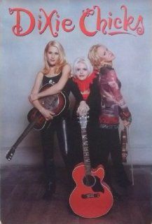 Dixie Chicks 20x30 Self Titled Promo Poster  Prints  