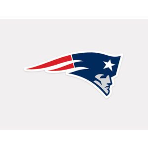 New England Patriots Wincraft 4x4 Die Cut Decal Color