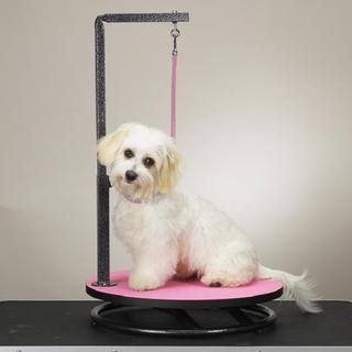 Master Equipment Small Pet Grooming Table (Pink) Master Equipment Other Pet Grooming