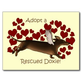 Adopt A Rescued Doxie Black Dachshund Dog Gifts Postcard