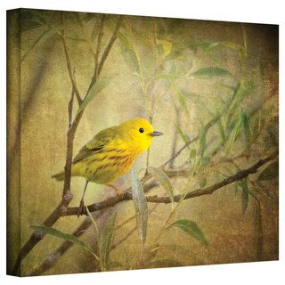 David Liam Kyle 'Bird on Branch' Gallery Wrapped Canvas ArtWall Canvas