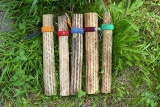 Cactus Rainstick / Shaker   Small ~ 14" 15" Musical Instruments