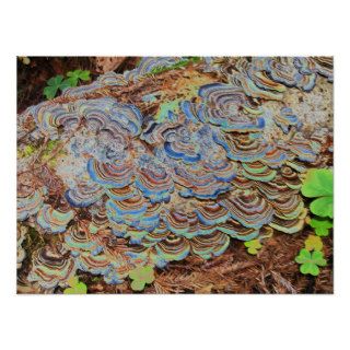 psychedelic fungus growing on a tree print
