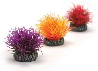 biOrb Small Color Ball 3 Pack (Red, Orange, Purple)  Aquarium Decor Plastic Plants 