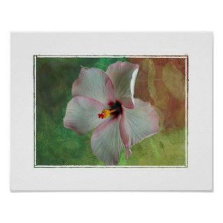 11x14 Pink and White Flower Print