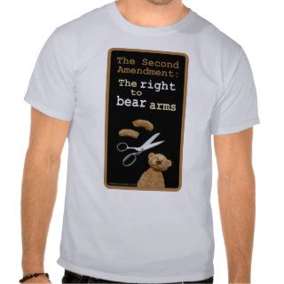 Right to Bear Arms Shirts