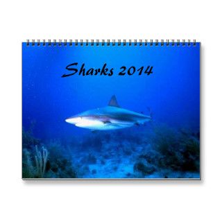 Sharks Calendar 2014