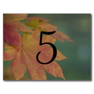 Autumn Colors Wedding Table Number Post Card