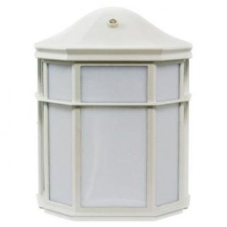 Efficient Lighting EL 158 123 W Outdoor Wall Sconce   Wall Porch Lights  