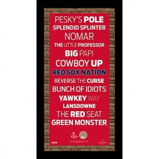 Steiner Sports 9 1/2" x 19" Subway Sign Wall Art Frame   Boston Red Sox
