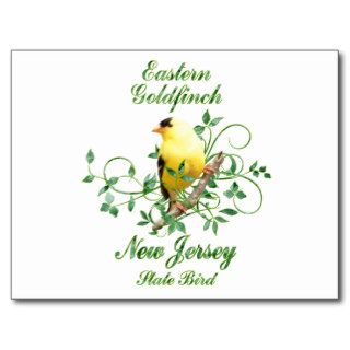 Goldfinch New Jersey State Bird Postcards