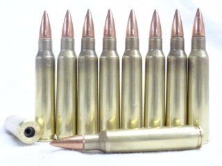 223 / 5.56 Dummy ammo, training rounds, dummy bullets, AR   15 S&W RRA Bushmaster DPMS STAG Noveske Tactical training 10pc set 