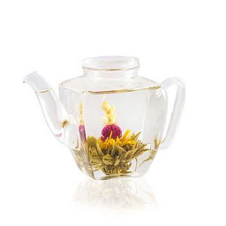 taipan glass teapot by the exotic teapot