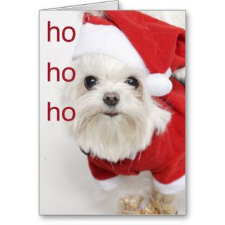 Santa Maltese Puppy Christmas Card