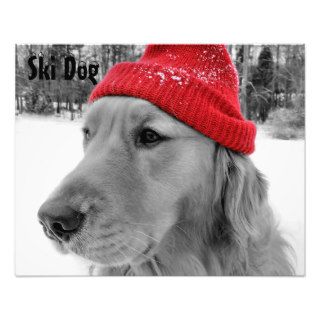Golden Retriever Ski Dog Custom Text Photo Print