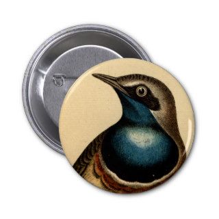 Blue Breasted Bird Pins