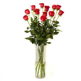Ultimate Rose One Dozen Large 3'L Red Roses with Vase