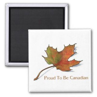 Proud Canadian Maple Leaf in Color Pencil Art Fridge Magnets