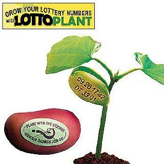 Lottery Number Lotto Plant (Set of 3 Beans)   Easy to Grow your Lucky Numbers Patio, Lawn & Garden