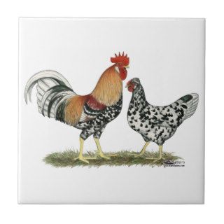 Icelandic Chickens Tile